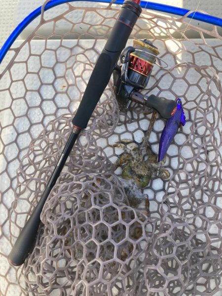 蒲生田沖でティップラン開幕