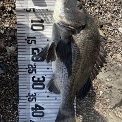 イチノ兄弟(兄)、釣果!