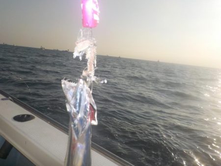 テンヤタチウオ