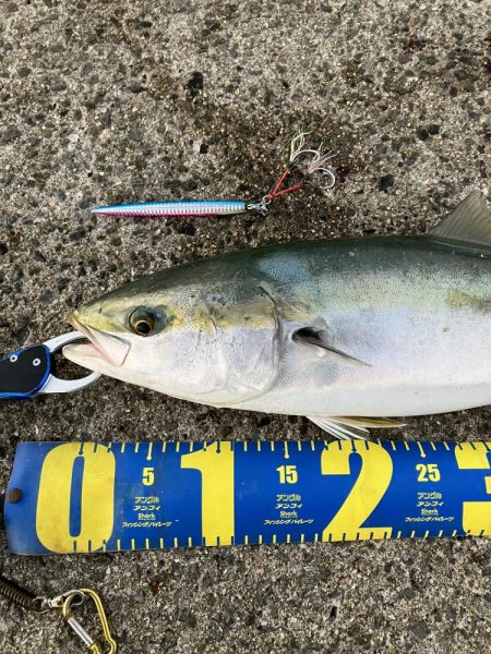 ショアジギ3