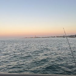 ノーハイシーズン