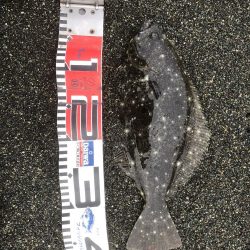 久々フラットゲット！