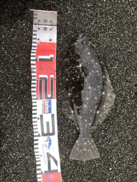 久々フラットゲット！