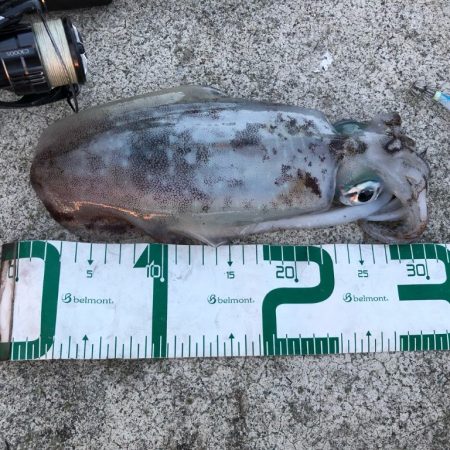 2022 佐渡ヶ島エギング 36回目【10月26日】