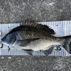 イチノ兄弟、釣果!