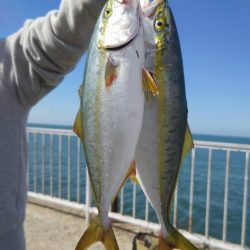 最近、絶好調です。