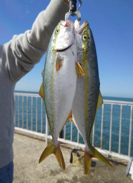 最近、絶好調です。