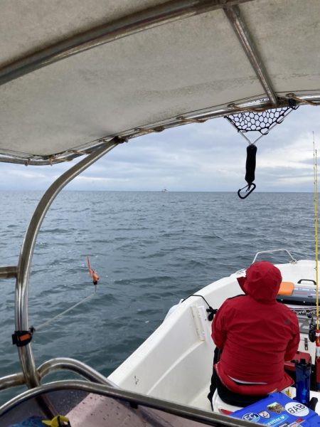 蒲生田沖でアオリイカ