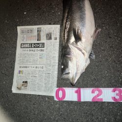 今季4本目ランカーシーバス