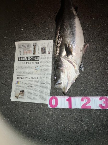 今季4本目ランカーシーバス