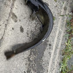 またお前か、、、