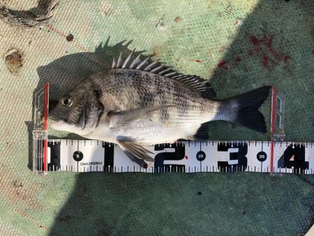 最近団子釣りにハマってます！