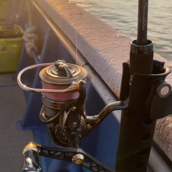 ナイトティップラン