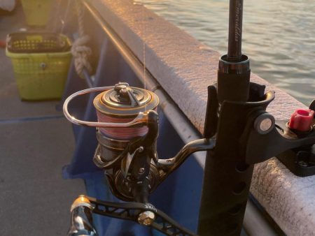 ナイトティップラン