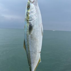 ショアジギング