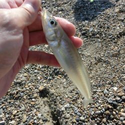 キス狙いで外道が