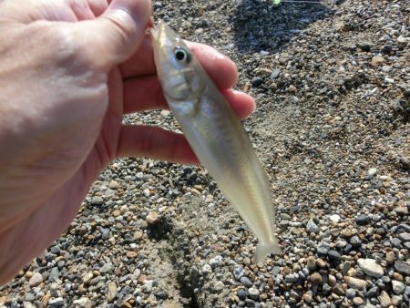 キス狙いで外道が