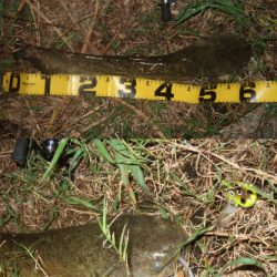 今回が今シーズンラスト釣行かも!?