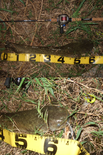 今回が今シーズンラスト釣行かも!?