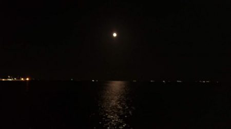 穴子が釣れました