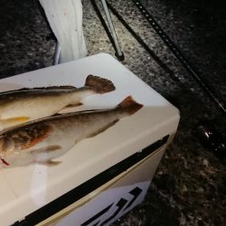 海の中でもハロウィンパーティー