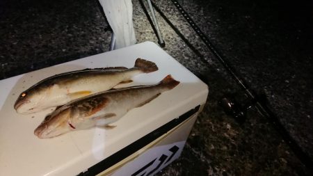 海の中でもハロウィンパーティー