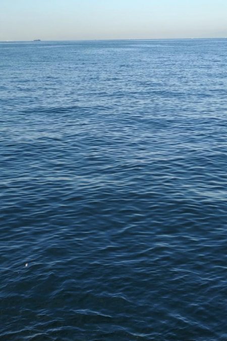 渋いながらもハマチゲット