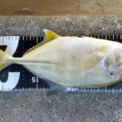 久し振りの……