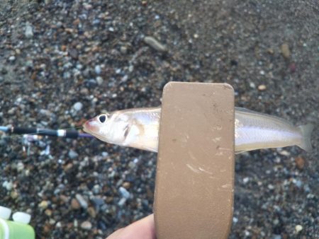 ちょい投げキスⅡ