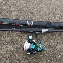 前々回のリベンジ