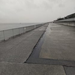 ショアジギング