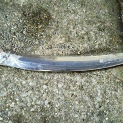 ワインドでタチウオ2本