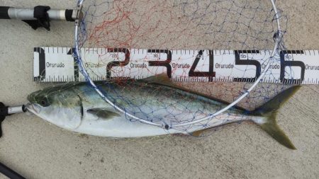 必死のランディング