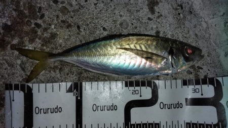 ナイトゲーム楽しかった！