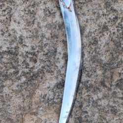 タチウオとイケカツオ？