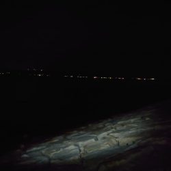 アジサバ狙って