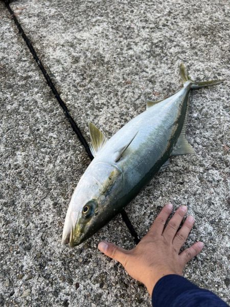 呑ませリベンジ成る！！