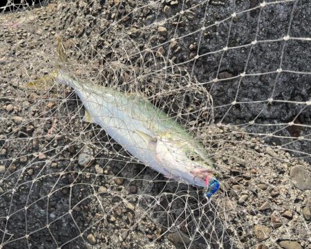 渋いながらも…