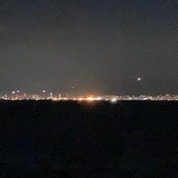 柳の下には２匹目はおらず