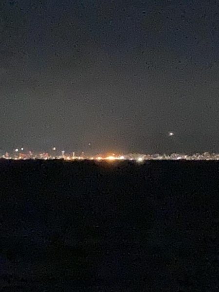 柳の下には２匹目はおらず