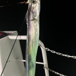 何も釣れない中、太刀魚釣れました。