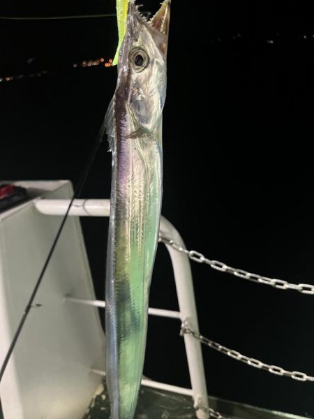 何も釣れない中、太刀魚釣れました。