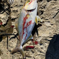 ショアジギ遠征