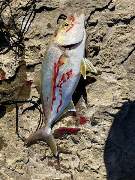 ショアジギ遠征