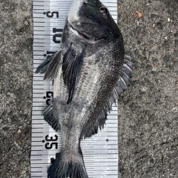 イチノ今日(兄)釣果!