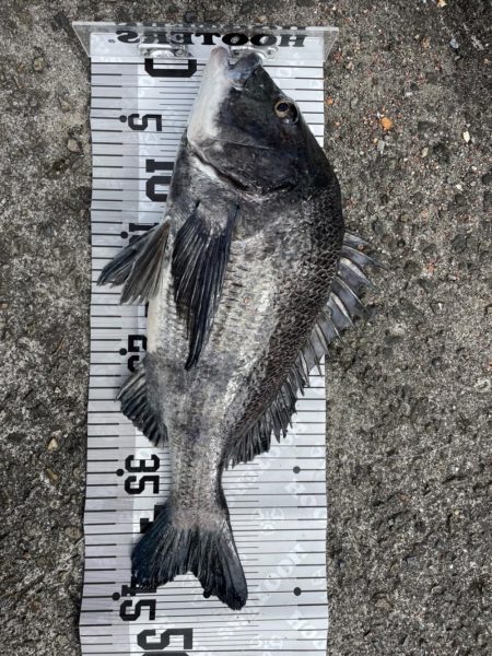 イチノ今日（兄）釣果！