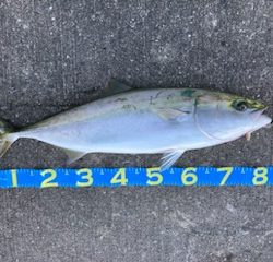 人生初の80オーバー