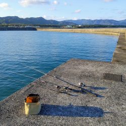 今日も奴が居た(笑)