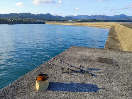 今日も奴が居た(笑)