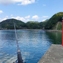 今日も安定のネイリ(苦笑;)